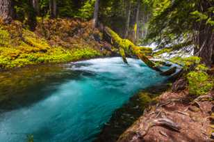 McKenzie River-0227.jpg